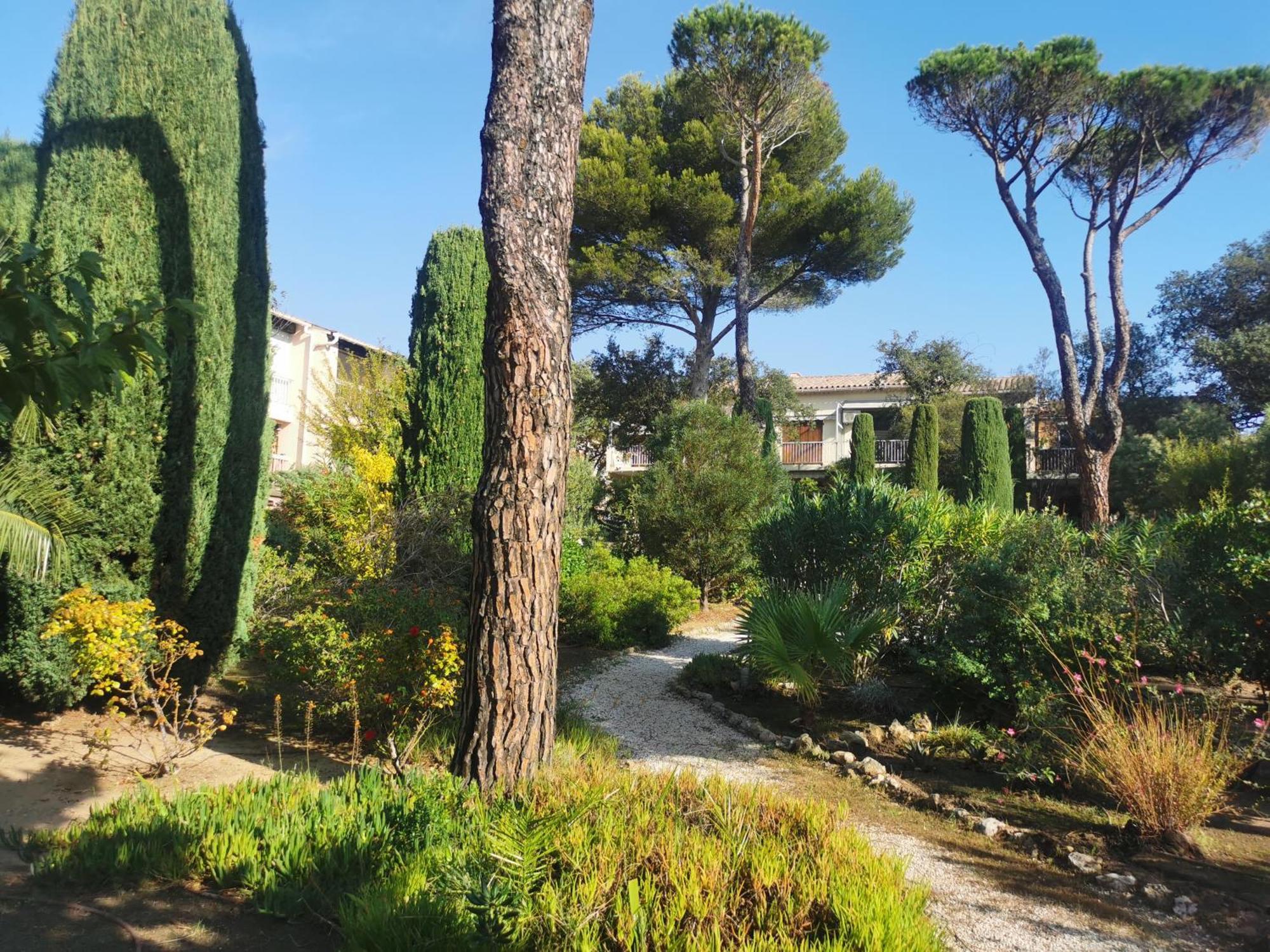 Coquillages Et Crustaces Apartment Saint Aygulf Bagian luar foto