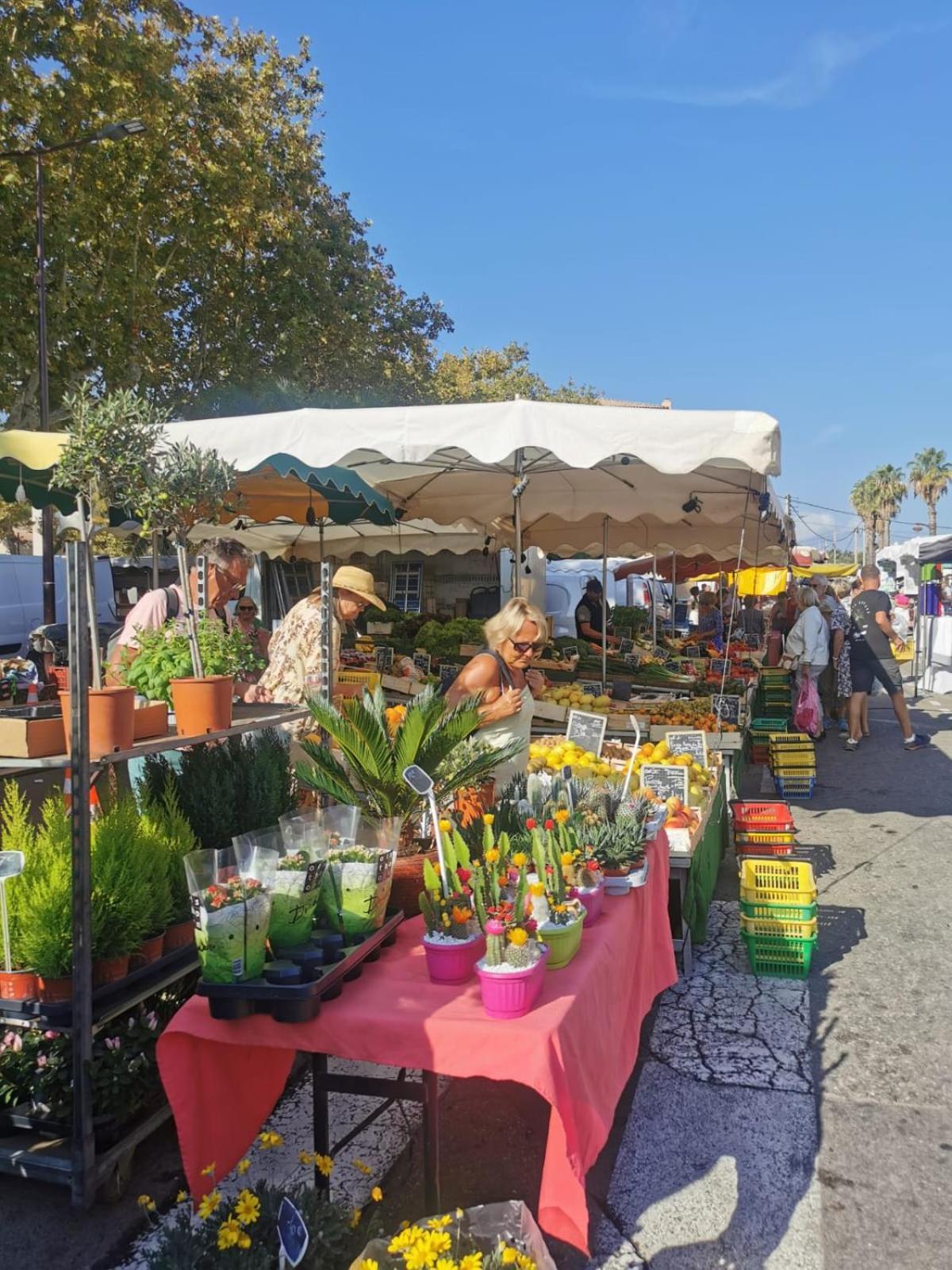 Coquillages Et Crustaces Apartment Saint Aygulf Bagian luar foto