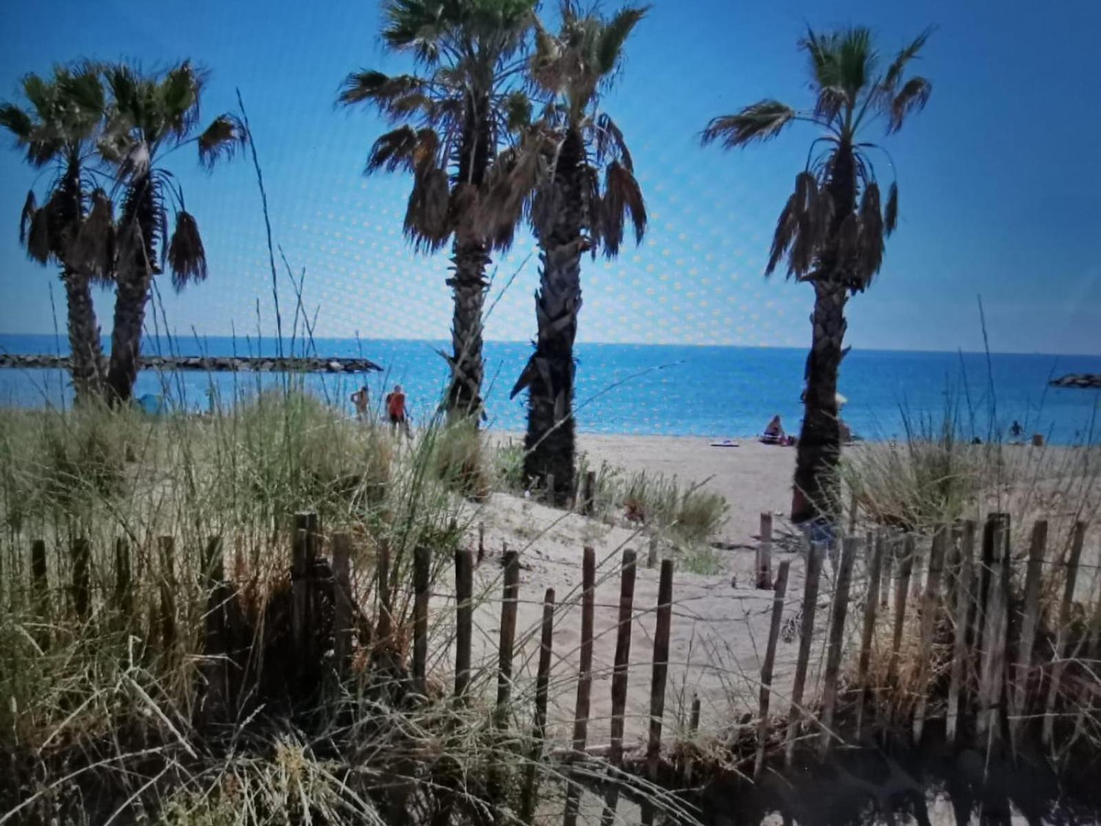 Coquillages Et Crustaces Apartment Saint Aygulf Bagian luar foto